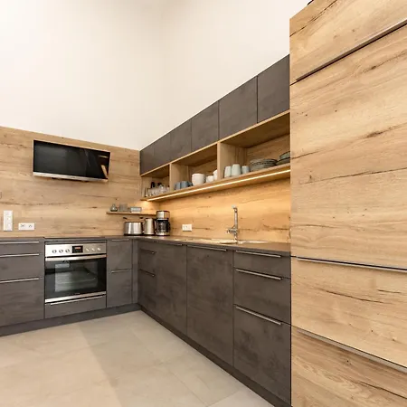 The Nest In By Schladming-appartements Daire